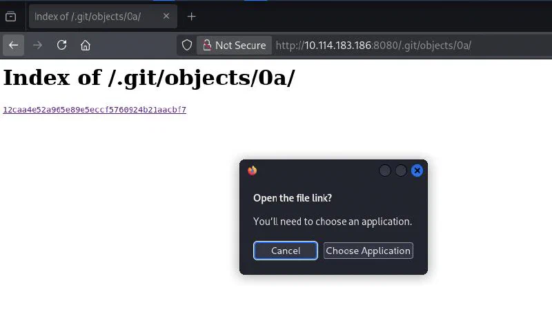 Browser attempting to open a file from the Git objects directory