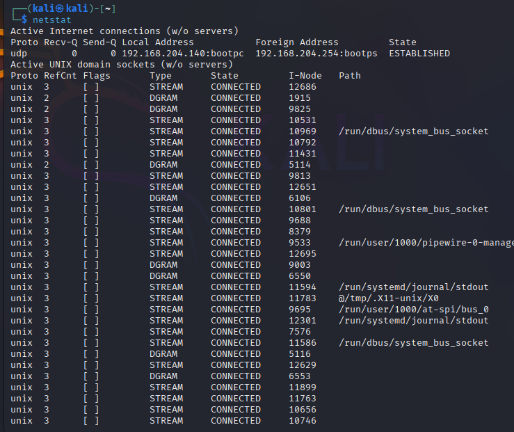 netstat command output