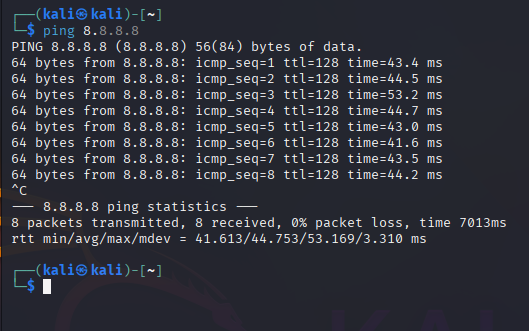 ping command output