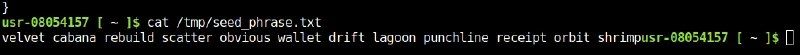 The seed_phrase.txt blob containing a twelve-word recovery phrase