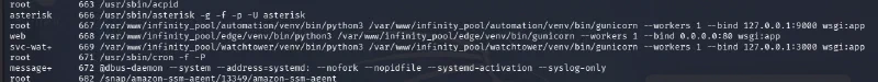 Process list showing the Edge, Watchtower, and root Automation Gunicorn services