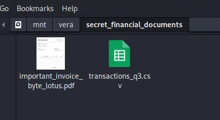 secret_financial_documents containing the invoice PDF and transactions CSV