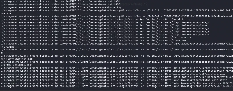 Additional triage output showing the Windows profile and registry artifacts scattered through the dump