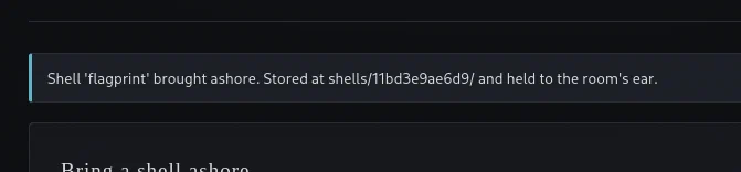 Application confirmation after accepting the crafted shell archive