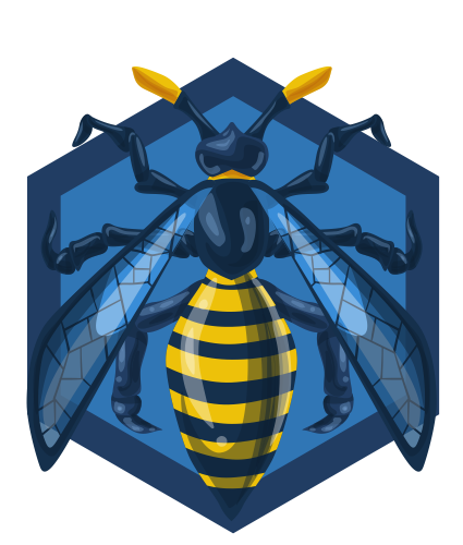 OWASP Top 10 badge