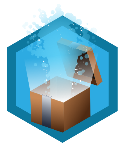 Packet Master badge
